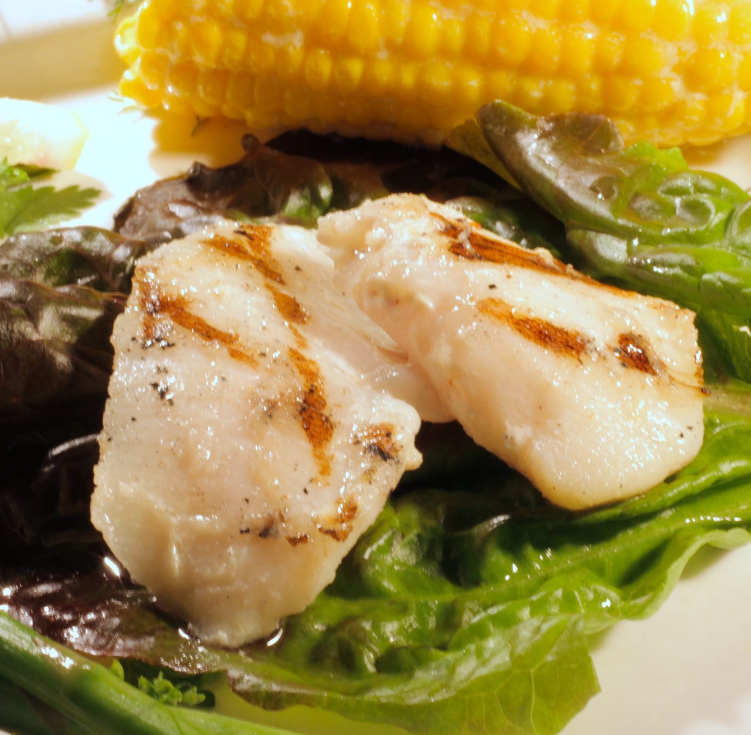 Frozen Halibut Cheeks (200g) Ocean Master Foods International