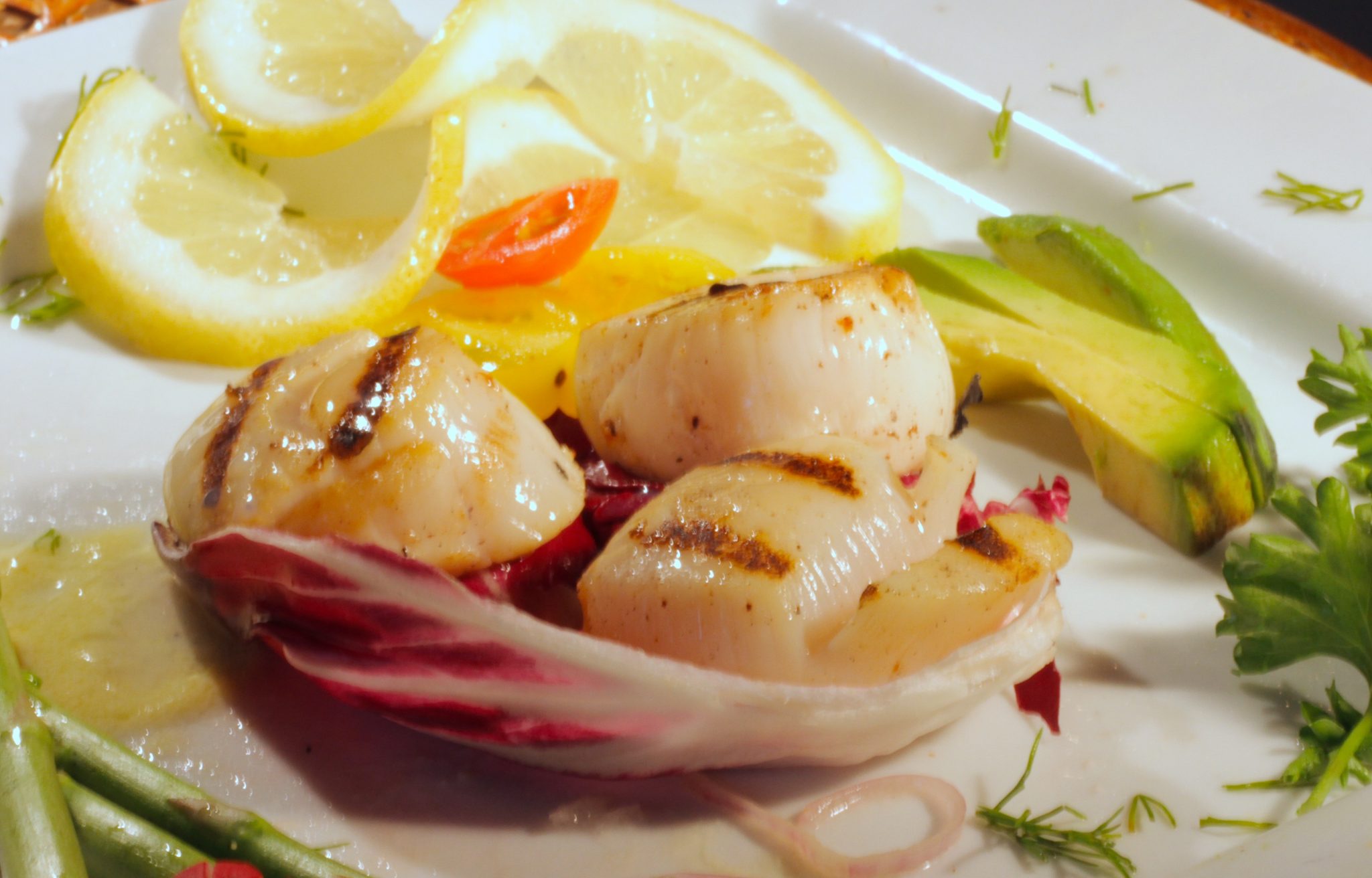 Large Scallops Ocean Master Foods International